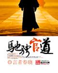 驰骋驰骋