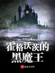 霍格沃茨的黑魔王就业指南txt