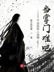 关于当掌门的