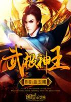 武极神王有第二部吗
