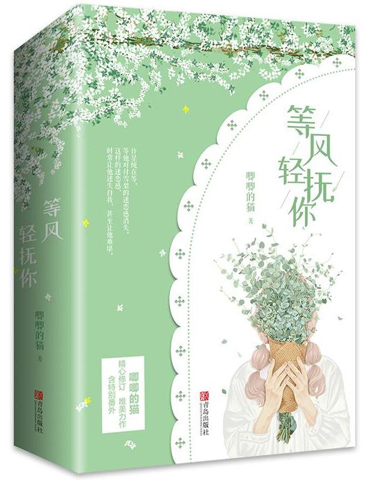 等风轻抚你一共多少章