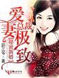 总裁的新婚罪妻免费阅读无广告