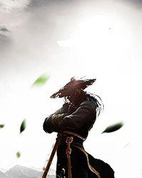 武侠之绝世枪神全本