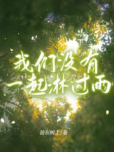 我们一起淋过雪