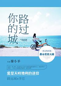 我路过你的城市 走过你来时的路