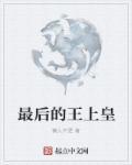 最后的皇上电视剧