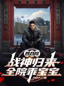 四合院gl 沈放