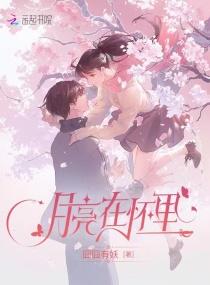 月亮在天上是什么歌