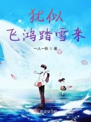 飞鸿踏雪比喻什么生肖