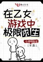 在乙女游戏女扮男装格格党