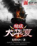 华夏超级经济舱是什么意思