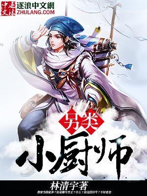 另类小厨师